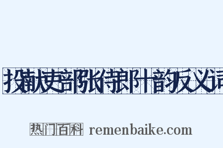 投献吏部张侍郎十韵反义词是什么意思的图片